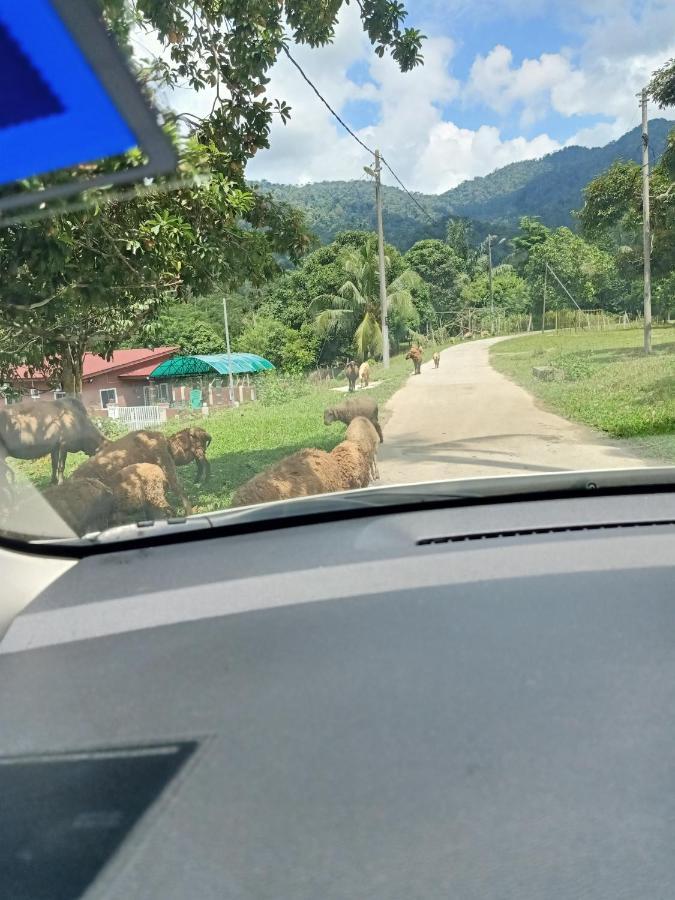 Aliza Scawa Homestay Kuala Pilah Εξωτερικό φωτογραφία